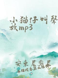 小猫仔叫声音播放mp3