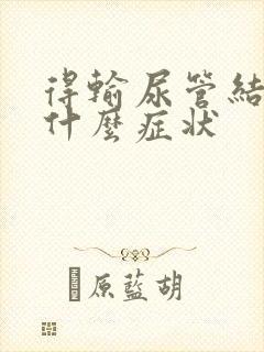 得输尿管结石是什么症状