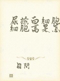 尿检白细胞和红细胞高是怎么回事