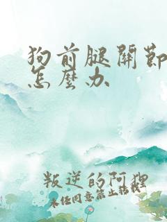 狗前腿关节肿了怎么办