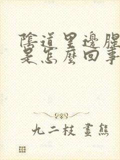 阴道里边腥臭味是怎么回事