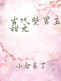 古代双男主小说甜文