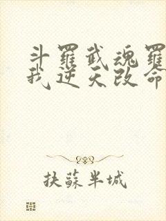 斗罗武魂罗三炮我逆天改命