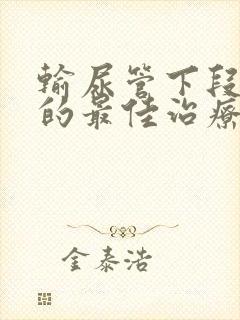 输尿管下段狭窄的最佳治疗方法