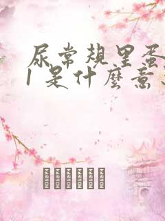 尿常规里蛋白质1 是什么意思