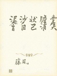 泥沙状胆囊结石会自己消失吗