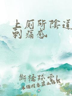 上厕所阴道口有刺痛感