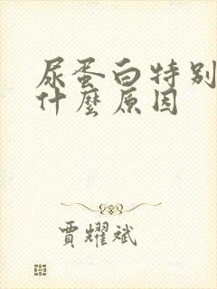 尿蛋白特别高是什么原因