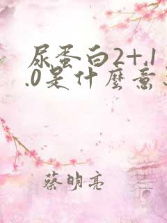 尿蛋白2+,1.0是什么意思