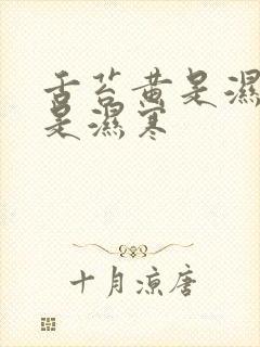 舌苔黄是湿热还是湿寒