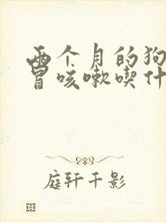 两个月的狗狗感冒咳嗽吃什么药好得快