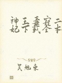 神王毒宠二嫁王妃下载全本txt