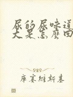 尿的尿味道特别大是怎么回事