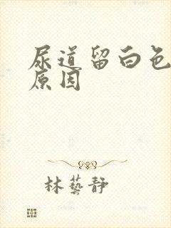 尿道留白色液体原因