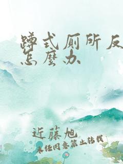 蹲式厕所反臭味怎么办