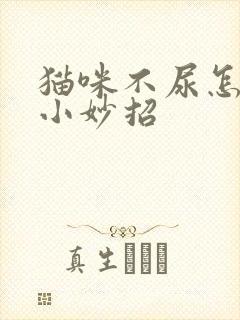 猫咪不尿怎么办小妙招