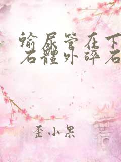 输尿管在下段结石体外碎石