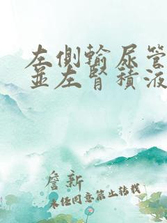 左侧输尿管结石并左肾积液