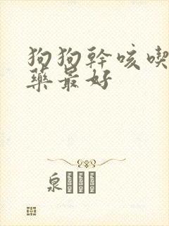 狗狗干咳吃什么药最好