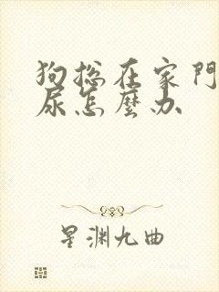 狗总在家门口撒尿怎么办