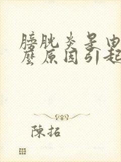 膀胱炎是由于什么原因引起的