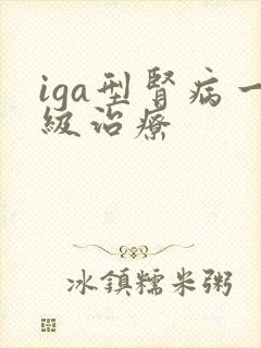 iga型肾病一级治疗