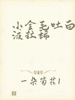 小金毛吐白色粘液拉稀