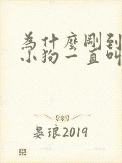 为什么刚到家的小狗一直叫