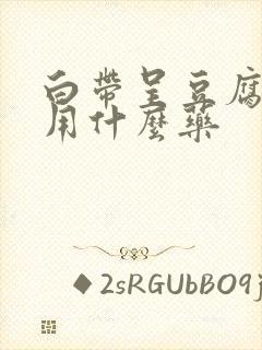 白带呈豆腐渣状用什么药