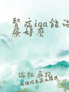 肾病iga能治疗好么