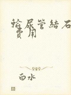 输尿管结石软镜 费用