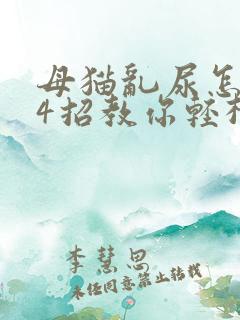 母猫乱尿怎么办4招教你轻松解决
