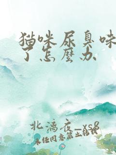 猫咪尿臭味太重了怎么办