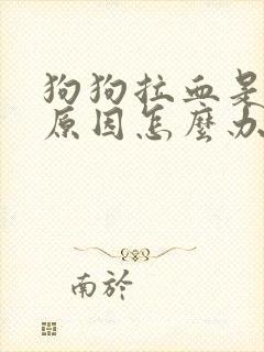 狗狗拉血是什么原因怎么办