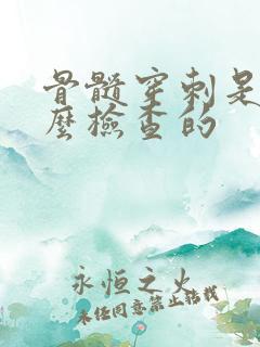 骨髓穿刺是做什么检查的