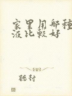 家里用哪种消毒液比较好