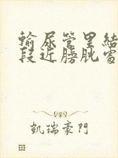 输尿管里结石下段近膀胱处