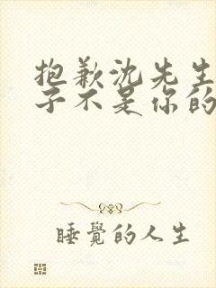 抱歉沈先生,孩子不是你的短剧资源