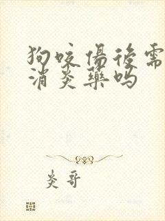 狗咬伤后需要吃消炎药吗