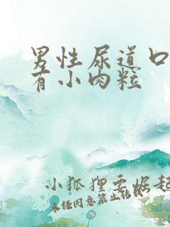 男性尿道口下方有小肉粒