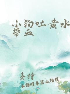 小狗吐黄水拉稀带血