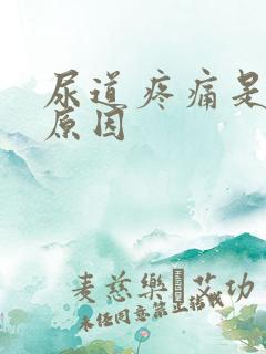 尿道疼痛是什么原因