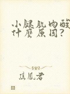 小腿肌肉酸痛是什么原因?