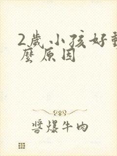 2岁小孩好动什么原因