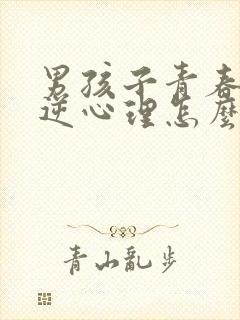 男孩子青春期叛逆心理怎么引导