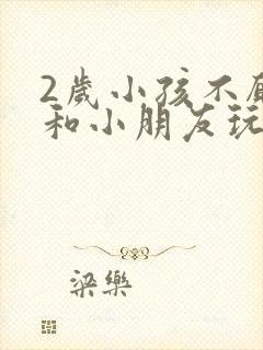 2岁小孩不愿意和小朋友玩