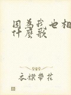 因为我也相信是什么歌