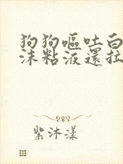 狗狗呕吐白色泡沫粘液还拉稀