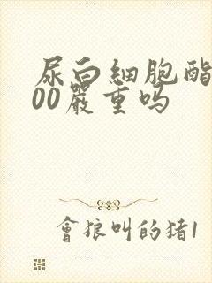 尿白细胞酯酶500严重吗