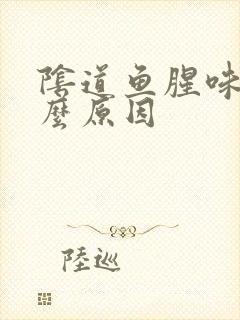 阴道鱼腥味是什么原因